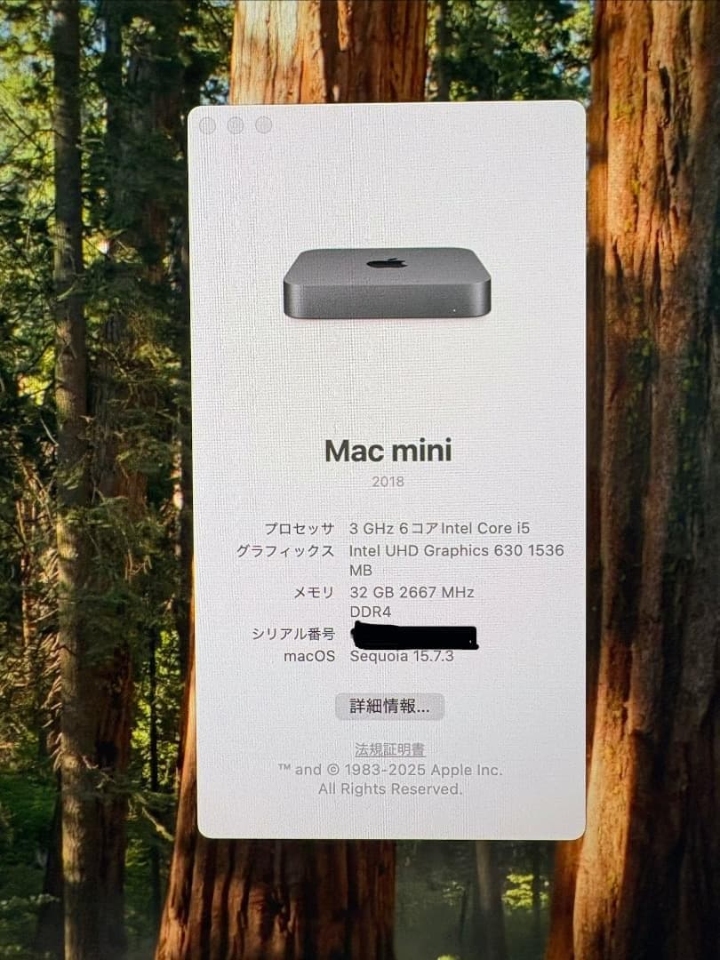 Apple Mac mini (2018) i5/16GB/SSD512GB - メルカリ