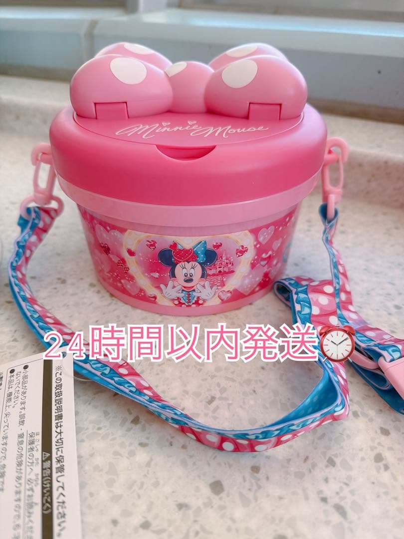 ディズニーランド パルパルーザ ミニー ファンダーランド ポップコーン