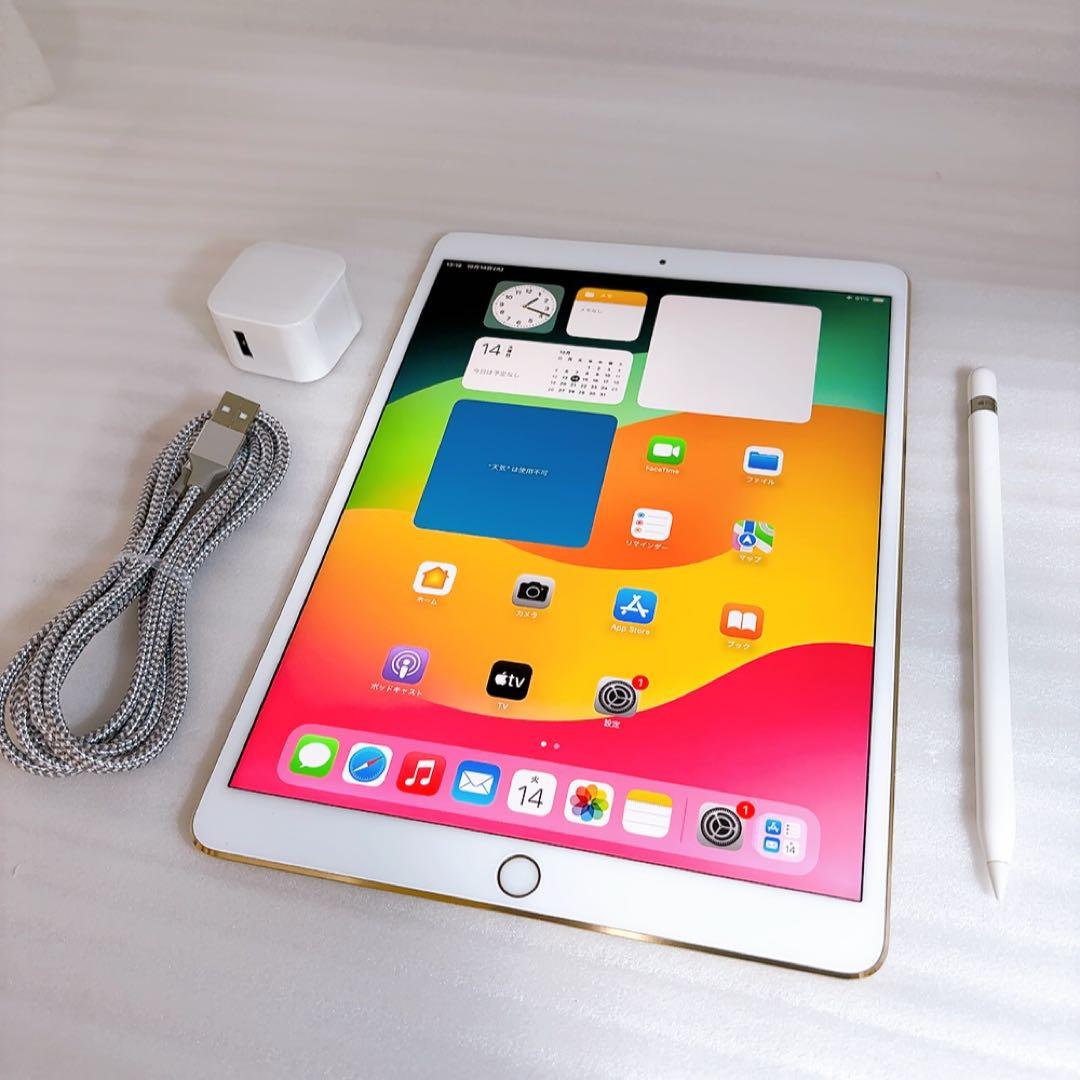 即日発送！iPadPro2【256GB】SIMフリーとアップルペンシルのセット Amazon | 【正規認証品】アップルペンシル 第2世代 Bolvunes iPad