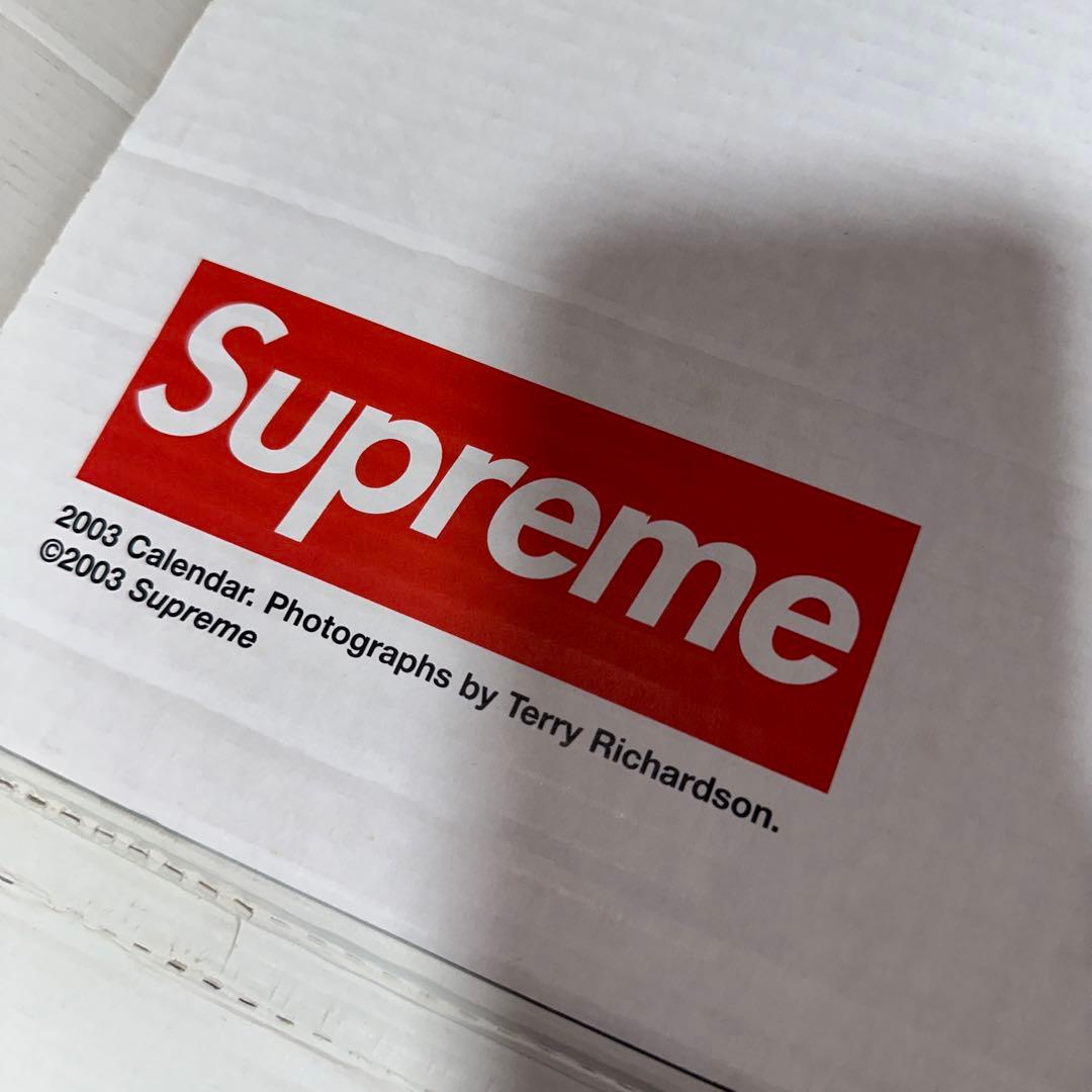 supreme 2003 Terry Richardson カレンダー 無修正 - メルカリ