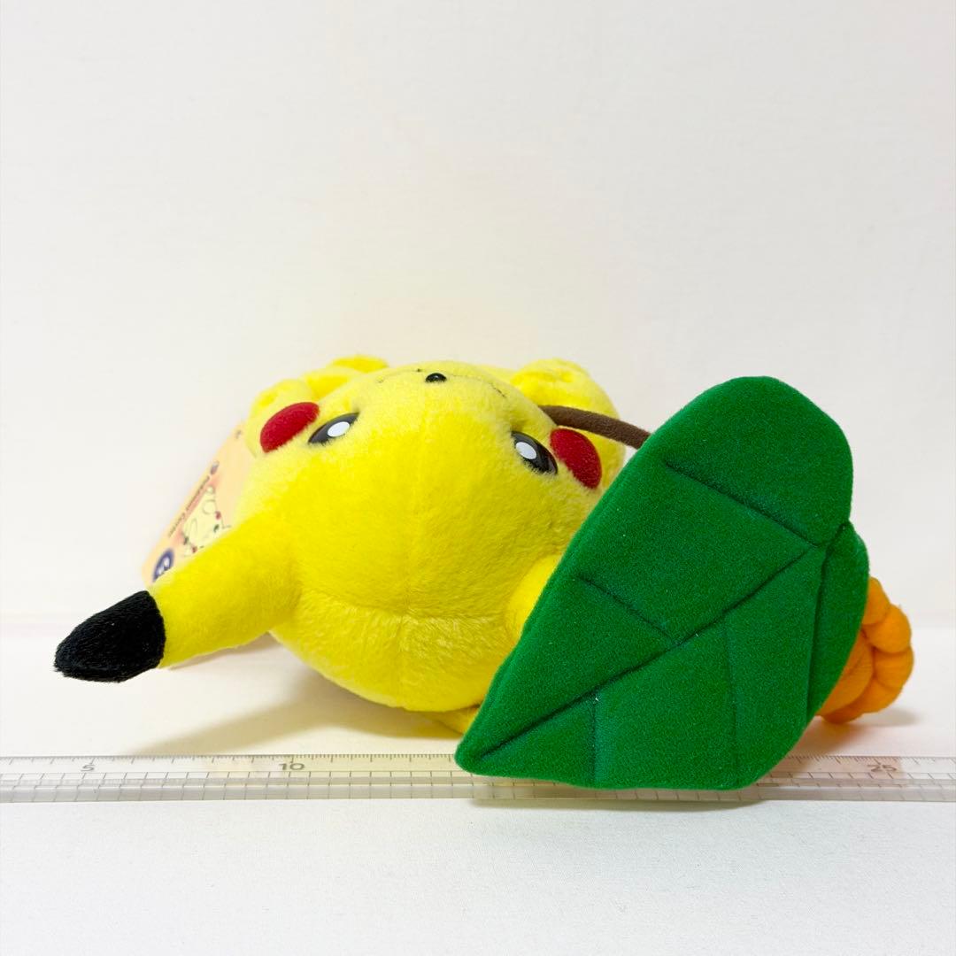 マンスリーピカチュウ 2005年6月ポケモンセンター限定 ポワルンてるてるぼうず