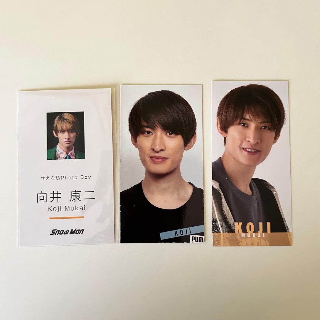 snowman 向井康二 公式写真 まとめ売り - メルカリ