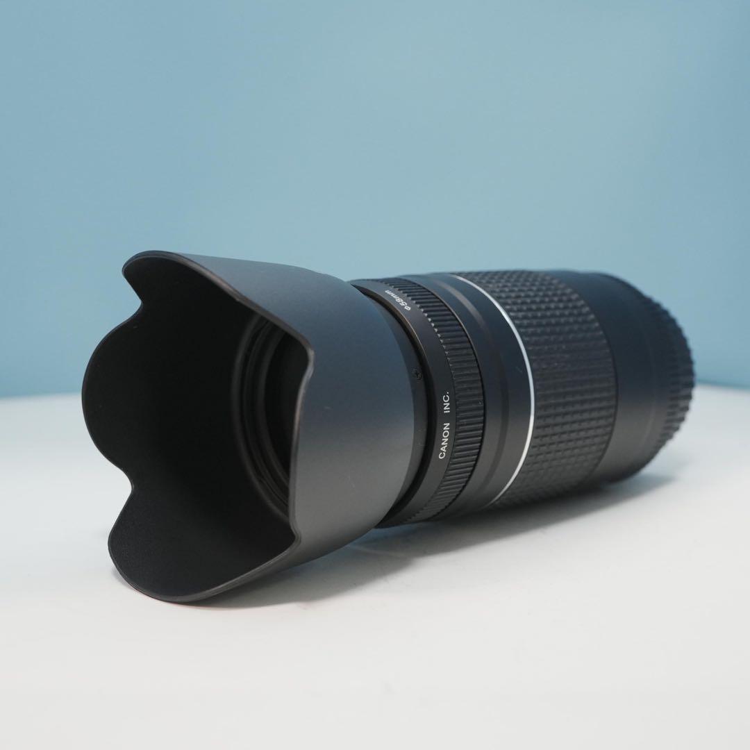 Canon純正 75-300mm 望遠レンズ 極美品 a4580 - メルカリ