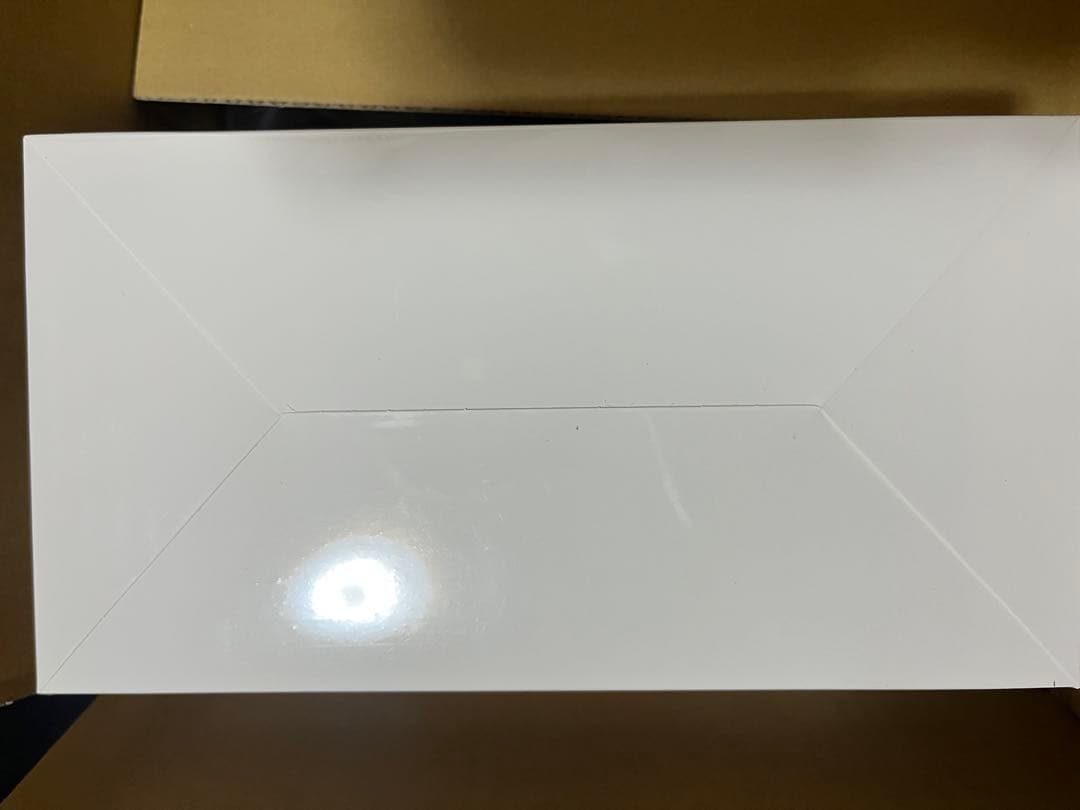 THE MONSTERS Big into Energyアソート1箱　ラブブ