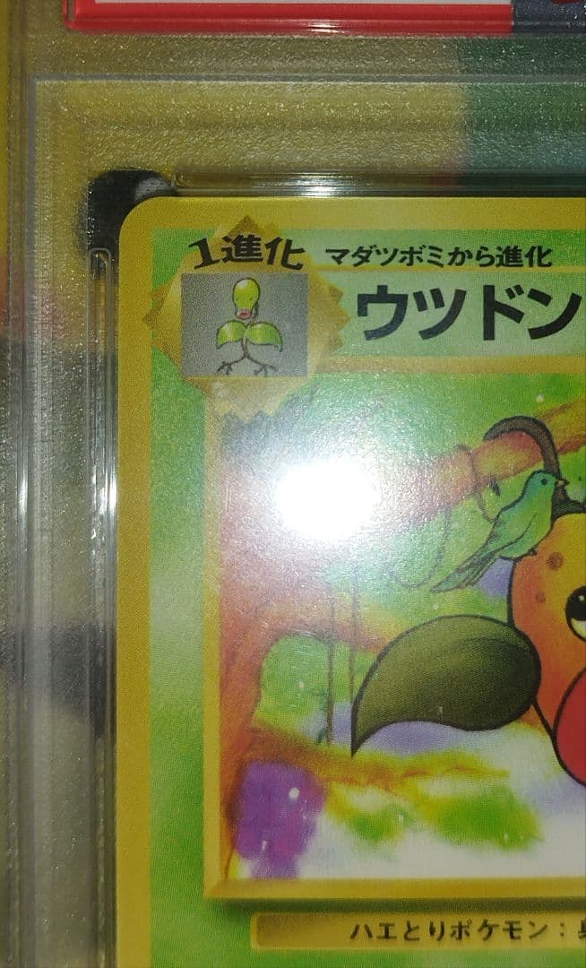 【PSA10】1997年 ポケモンジャングル ウツドン 【旧裏】