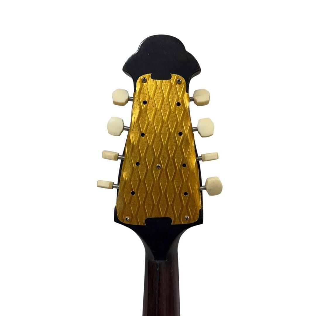 落合忠男 マンドリン 1971 ハードケース付 - メルカリ