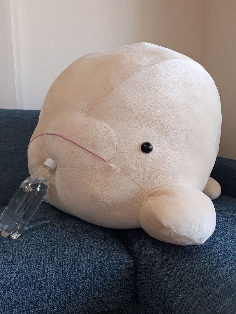 【レア！】シロイルカ　八景島シーパラダイス　特賞　特等　ぬいぐるみ