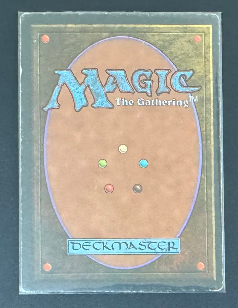 【楽一番公式アカウント97】Wheel of Fortune ドイツ語