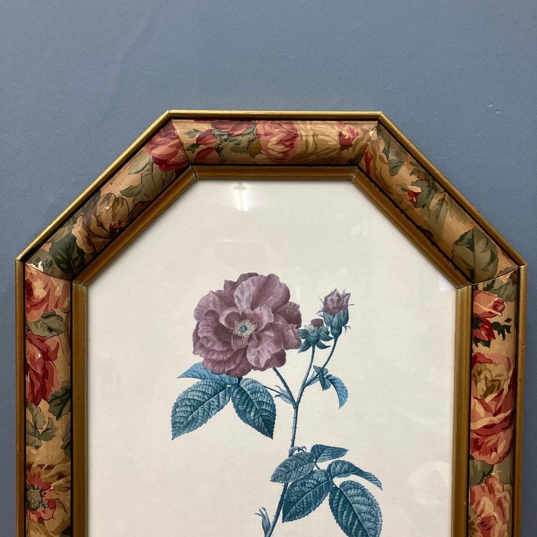 【イタリア製】ボタニカルアート 八角形 額縁 額装 薔薇 ロサ・ガリカ 花 絵画