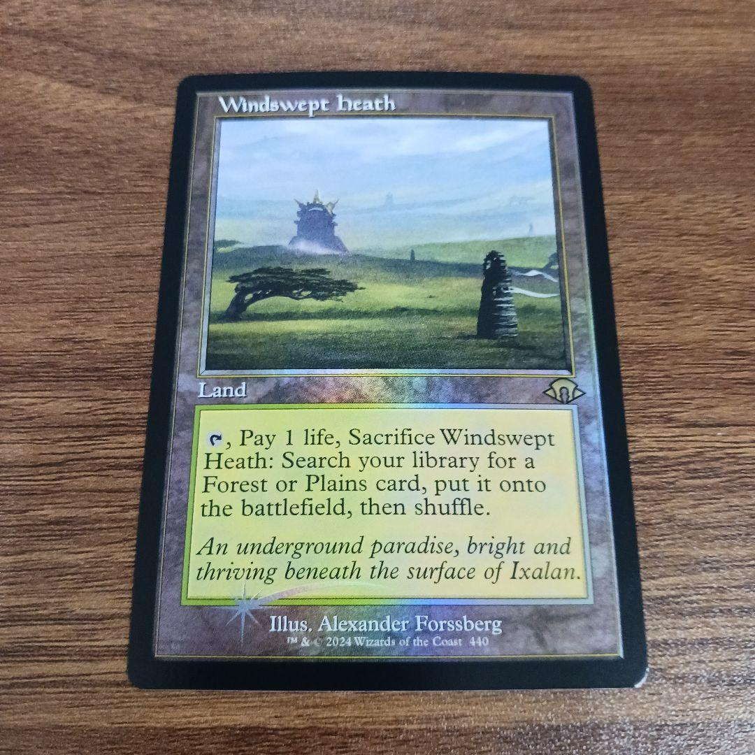 英語版 吹きさらしの荒野/Windswept HeathMTG 吹きさらしの荒野 Foil