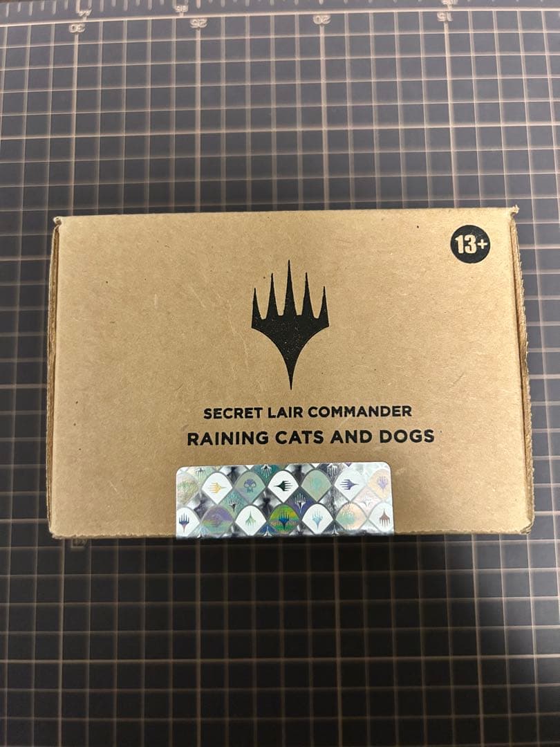 MTG SLD RAINING CATS AND DOGS 未開封 Rin and Seri Inseparable-Raining Cats and Dogs, Secret Lair (SLD)