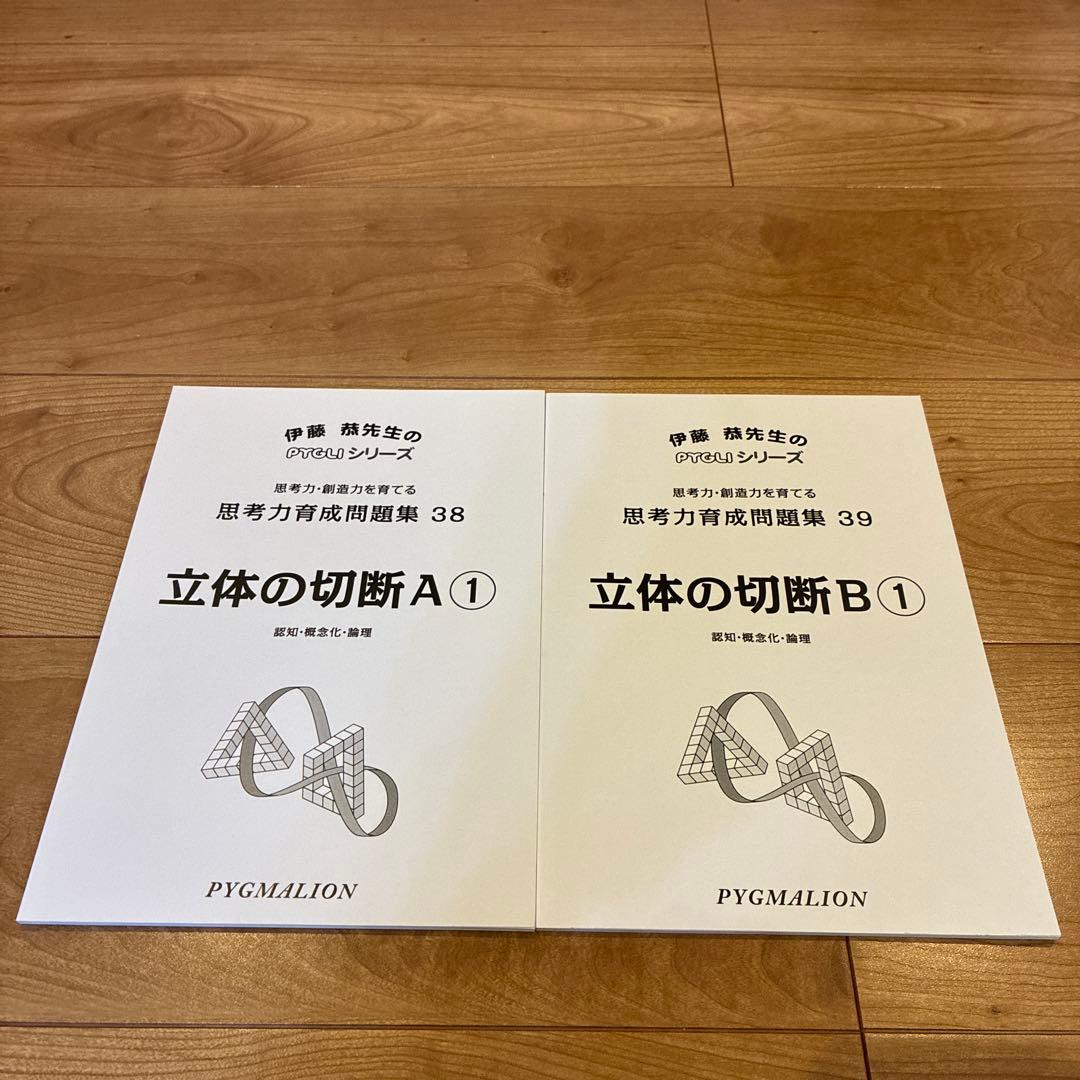 ピグマリオン 思考力育成問題集 38 39 立体の切断 A B 2冊 - メルカリ
