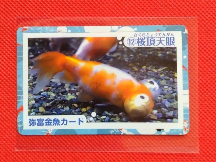 じゅめい様 リクエスト 6点 まとめ商品