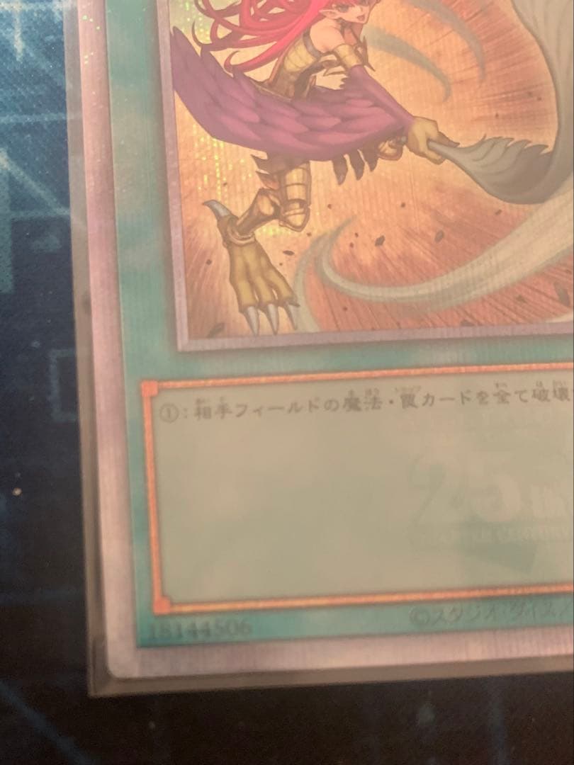 遊戯王　ハーピィの羽根帚 25th 絵違い