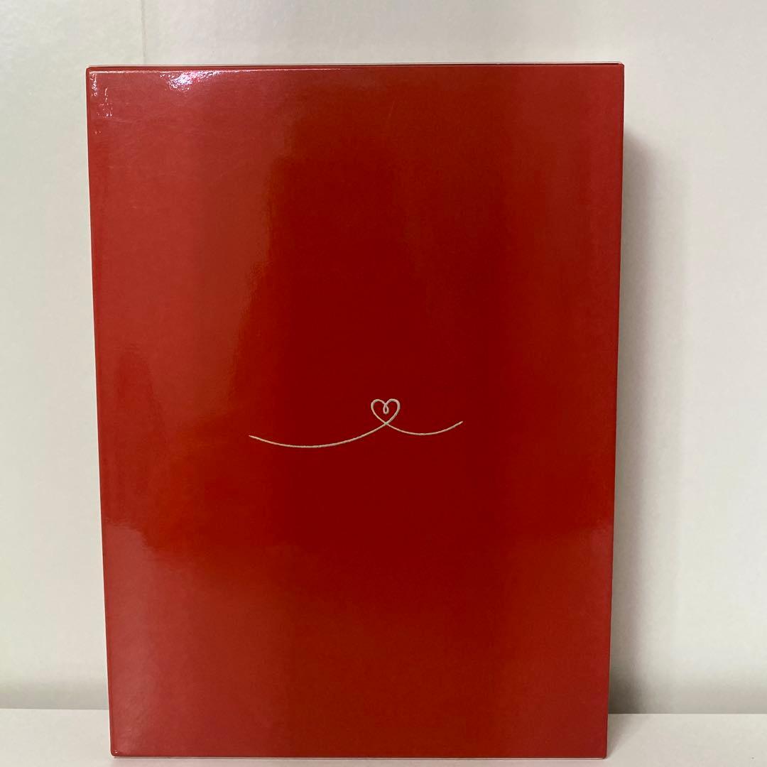 映画 赤い糸 スペシャル・エディション 溝端淳平 南沢奈央 ケータイ