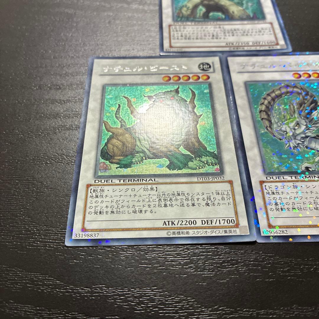 遊戯王　ナチュル　シンクロシークレットレア3枚セット