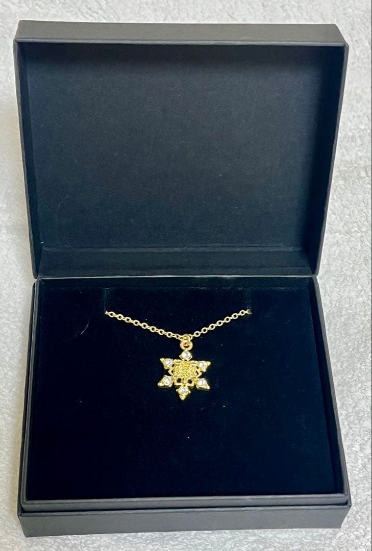 【即日発送・送料無料】HYDE 黑ミサ富良野 2025 宿泊者特典 ネックレス