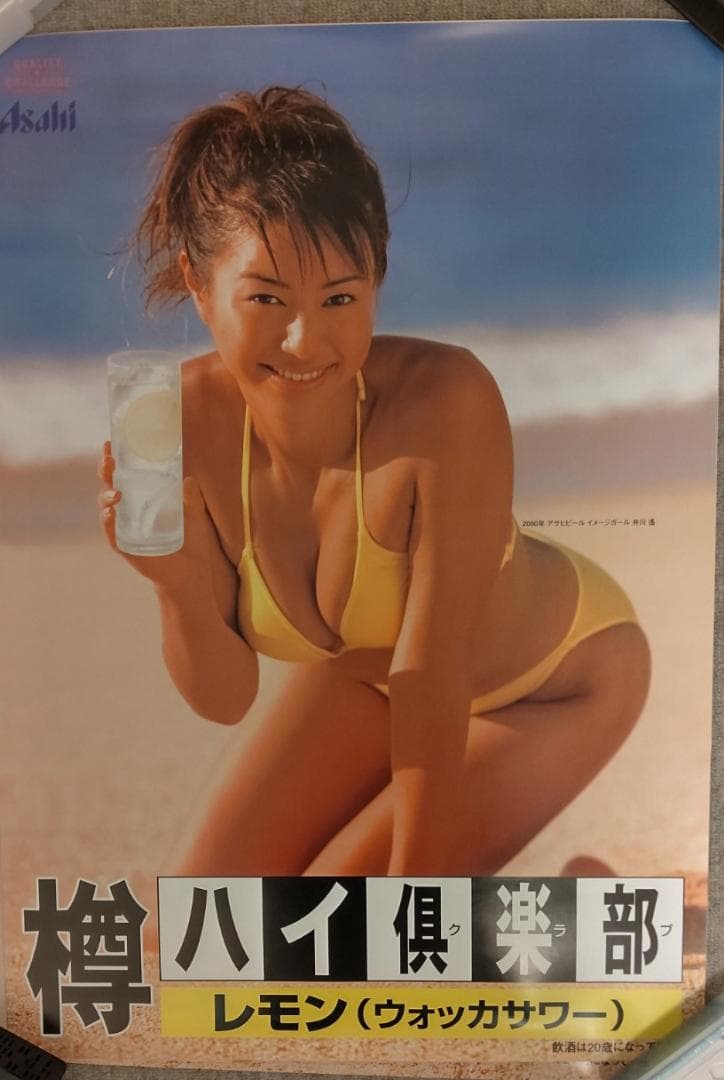 □Kさん専用□井川遥 水着10枚 アサヒスーパードライポスター10種10枚