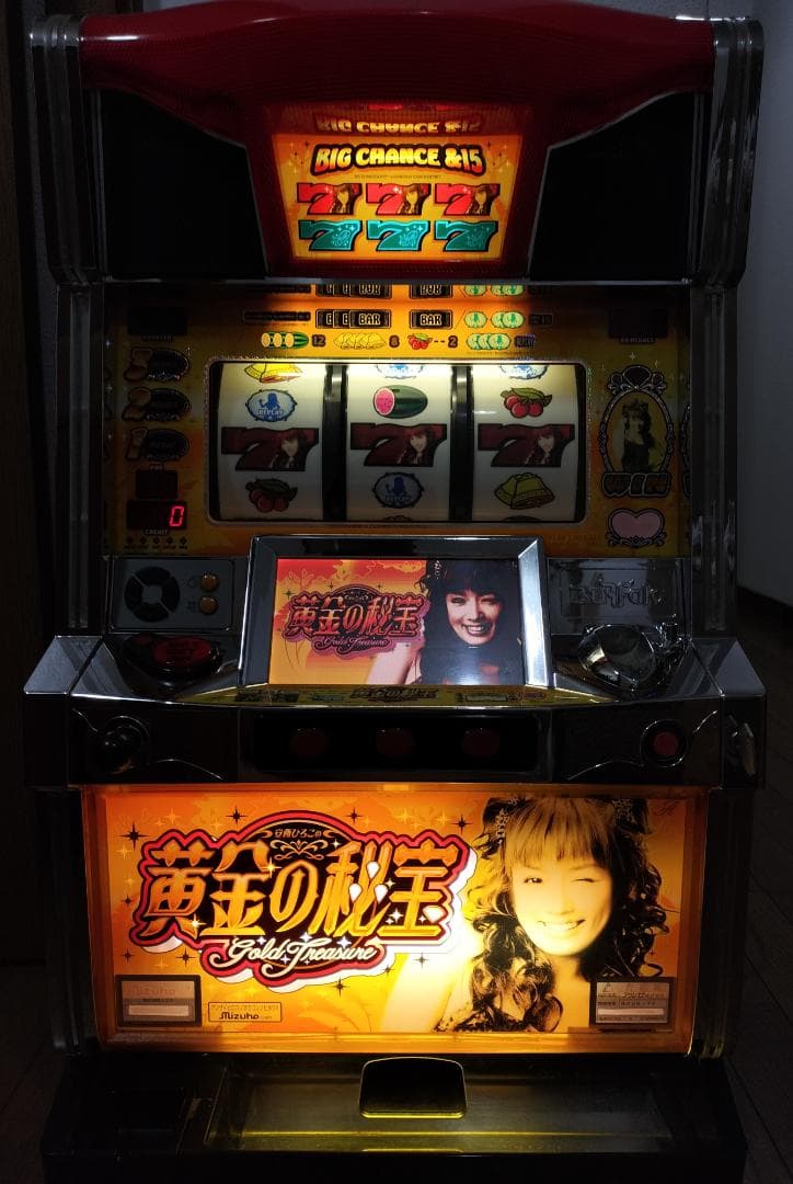 【パチスロ実機】ミズホ★安西ひろこの黄金の秘宝X【不要機付き】４号機・レア