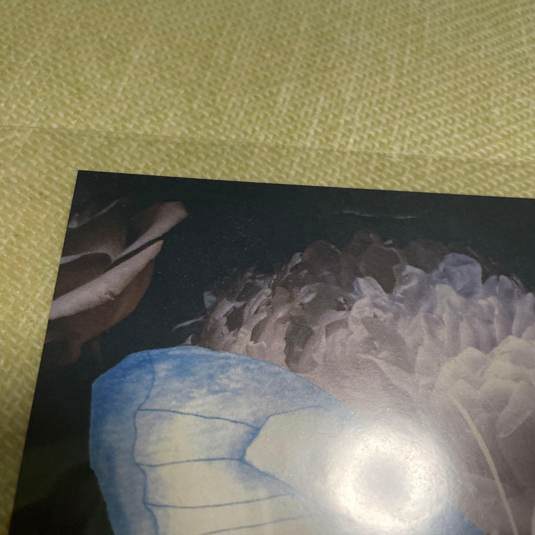 Aimer 直筆サイン入り　アナザージャケット　2018 限定