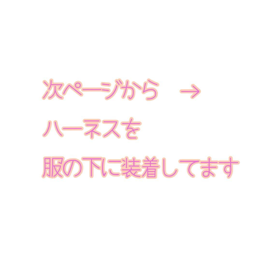 SixTONES用/カラーハーネス▷オーダーページ ストぬい紛失防止 - メルカリ
