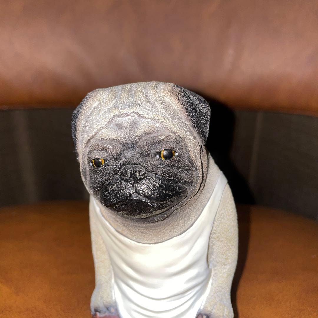 朝隈俊男　犬の留守番　パグ　限定