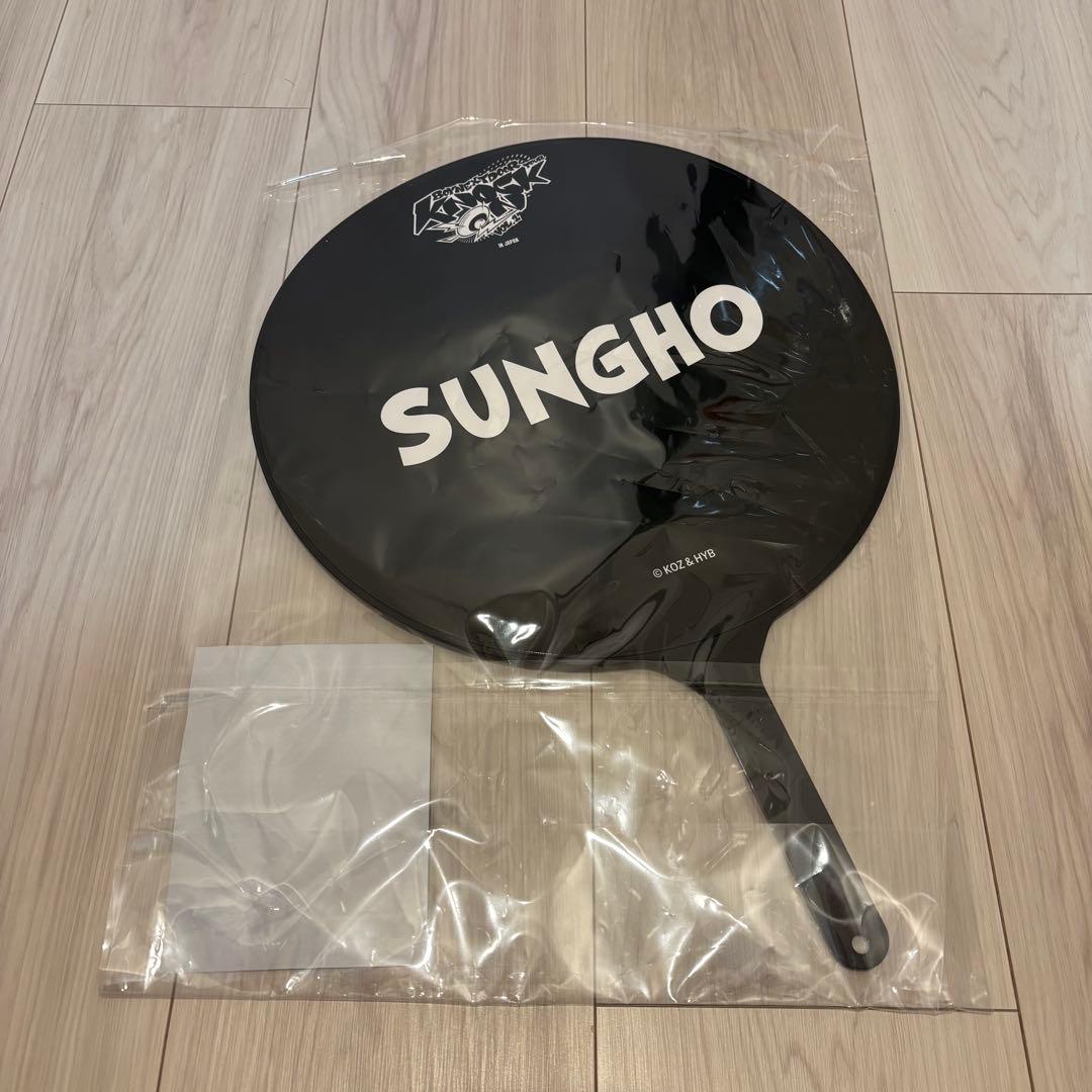 boynextdoor ソンホ うちわ ボネクド ボイネク - メルカリ