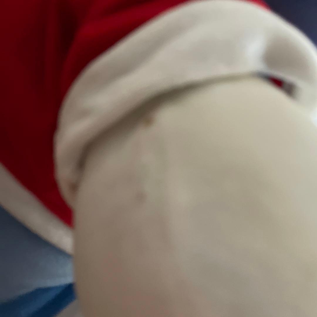 ドラえもん　巨大ぬいぐるみ