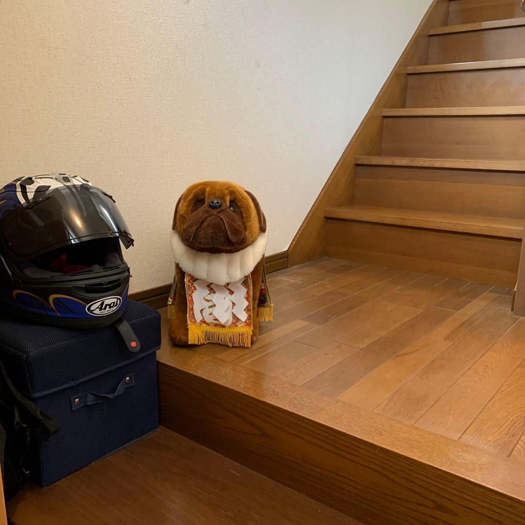 土佐犬ぬいぐるみ【闘犬】