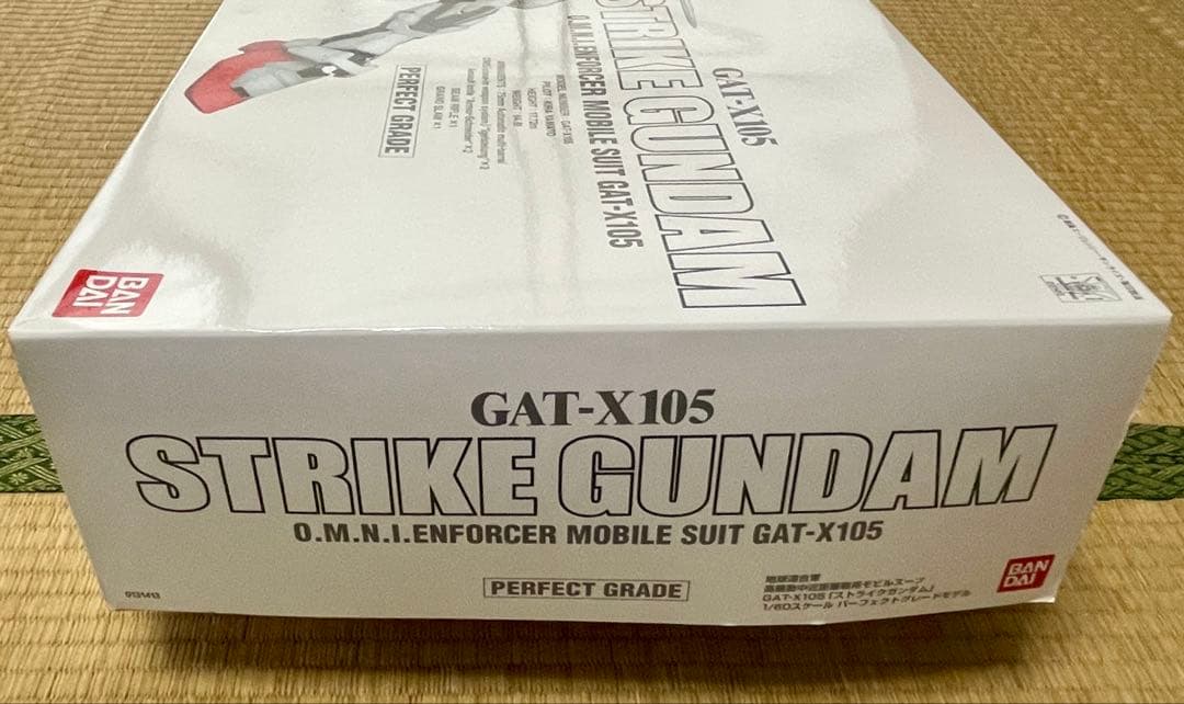 【PG】ストライクガンダム＋【PG】スカイグラスパー＋オマケガンプラ（未組立品)