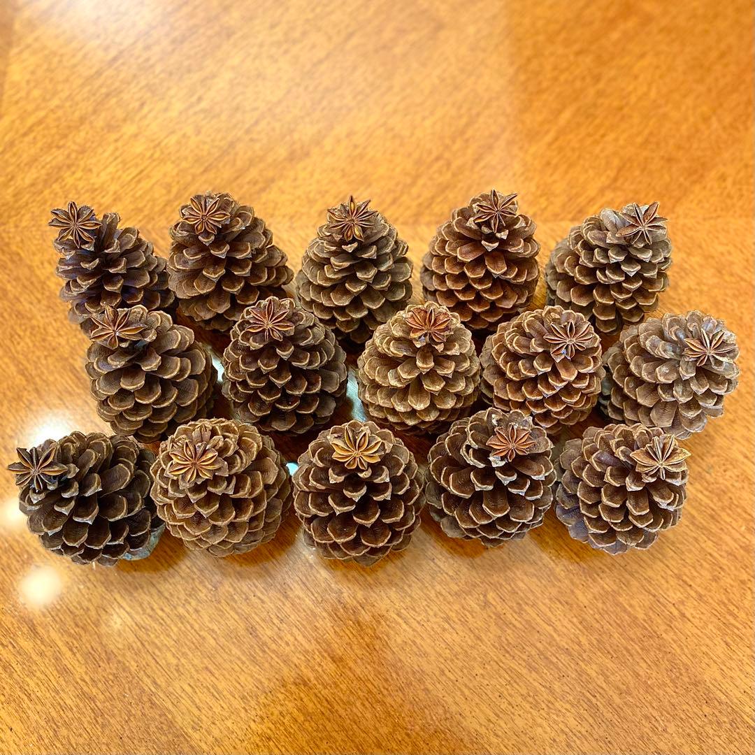 ⚠️専用品⚠️ 大王松 の 松ぼっくりツリー 土台付き ツリー