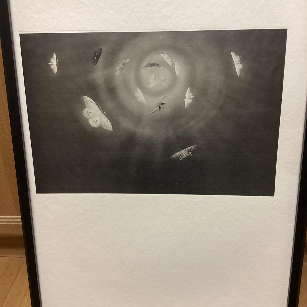 天才画家速水御舟　作品集大作編便利堂監修　画集NO 18 【昆虫二題粧蛾舞戯】