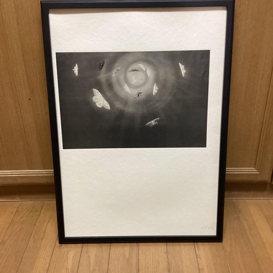 天才画家速水御舟　作品集大作編便利堂監修　画集NO 18 【昆虫二題粧蛾舞戯】