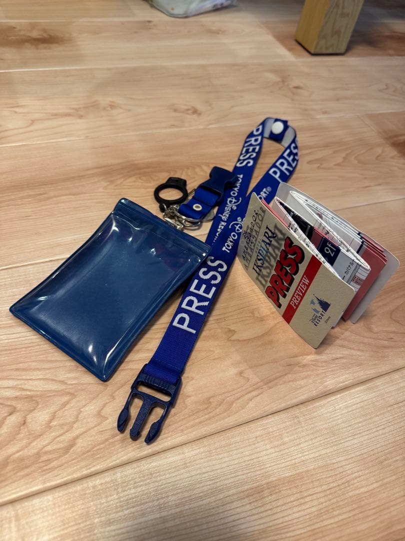【激レア】ディズニーリゾート イクスピアリ開業 報道関係者専用　ネックストラップ