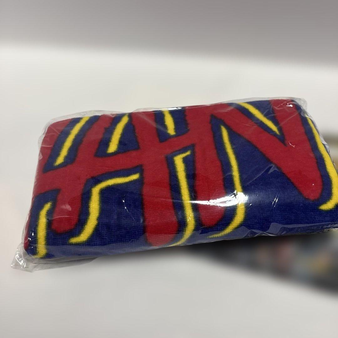 WANIMA Tシャツ　パーカー　タオル　バスタオル　ビーチタオル　ピザオブデス