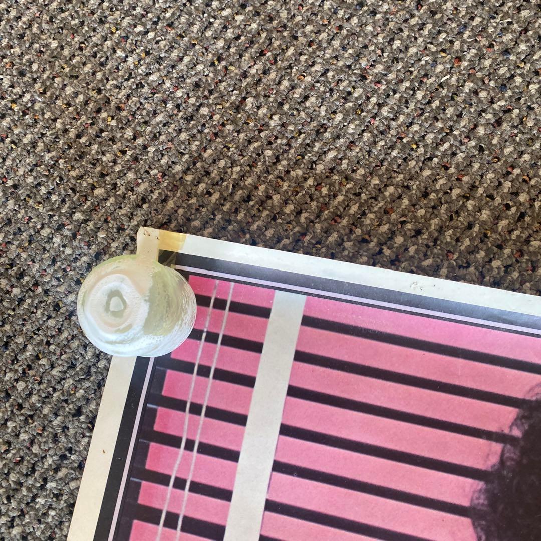 リンダ・ロンシュタット　Linda Ronstadt ポスター　美脚　パンスト