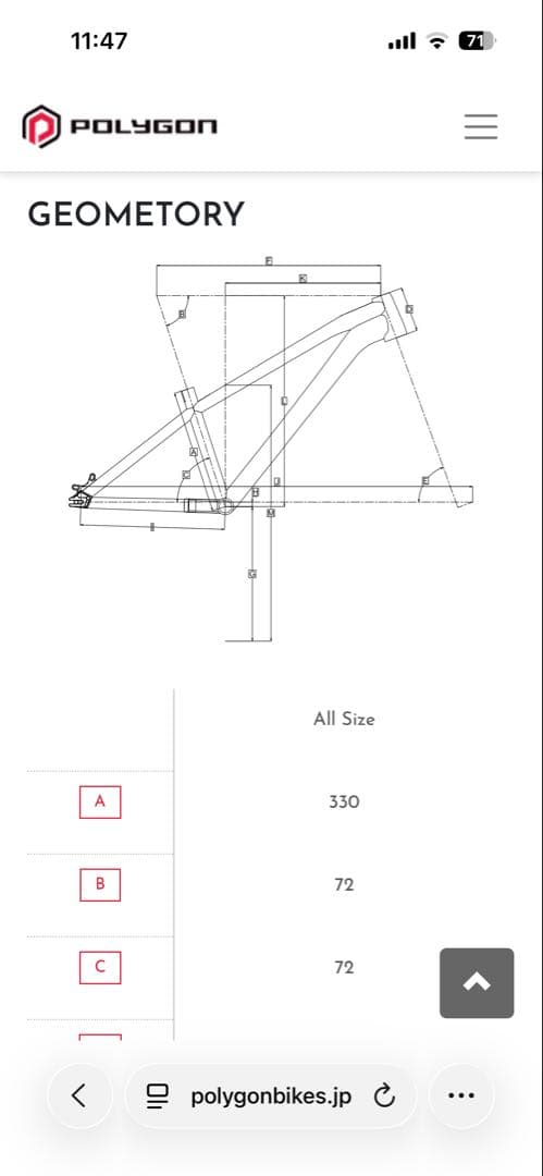polygon TRID ダートジャンプ フレーム DJ - メルカリ