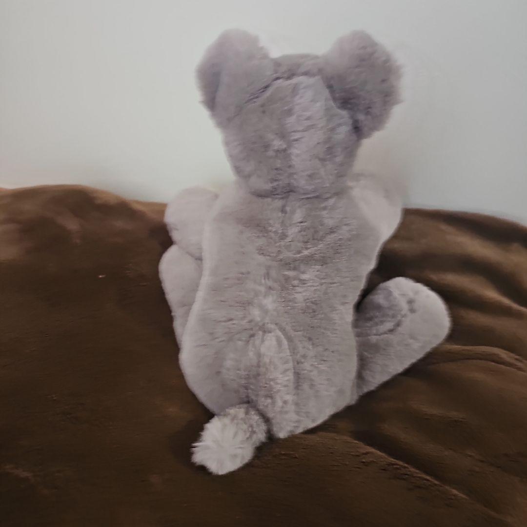 ジェリーキャット Jerry Cat 犬