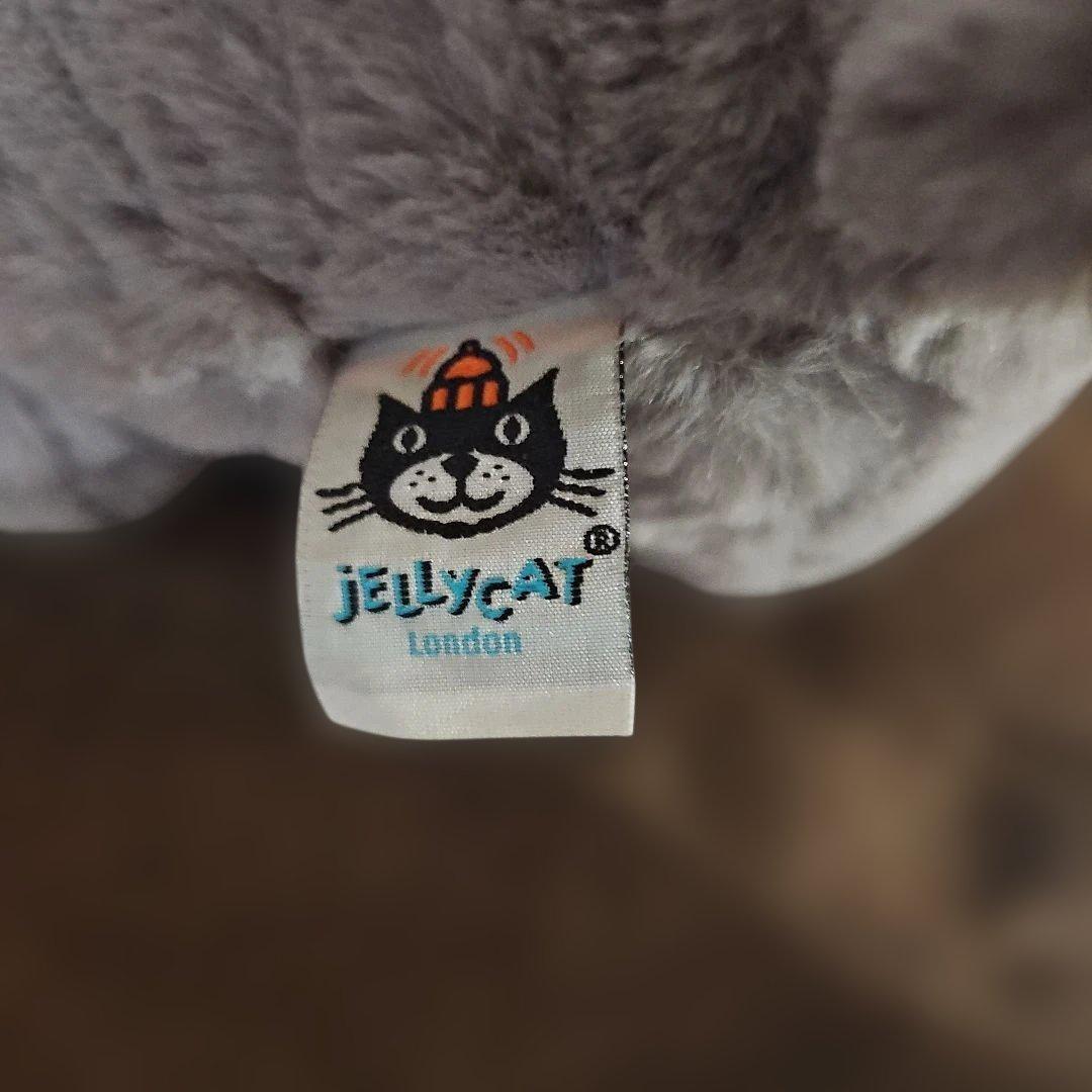 ジェリーキャット Jerry Cat 犬