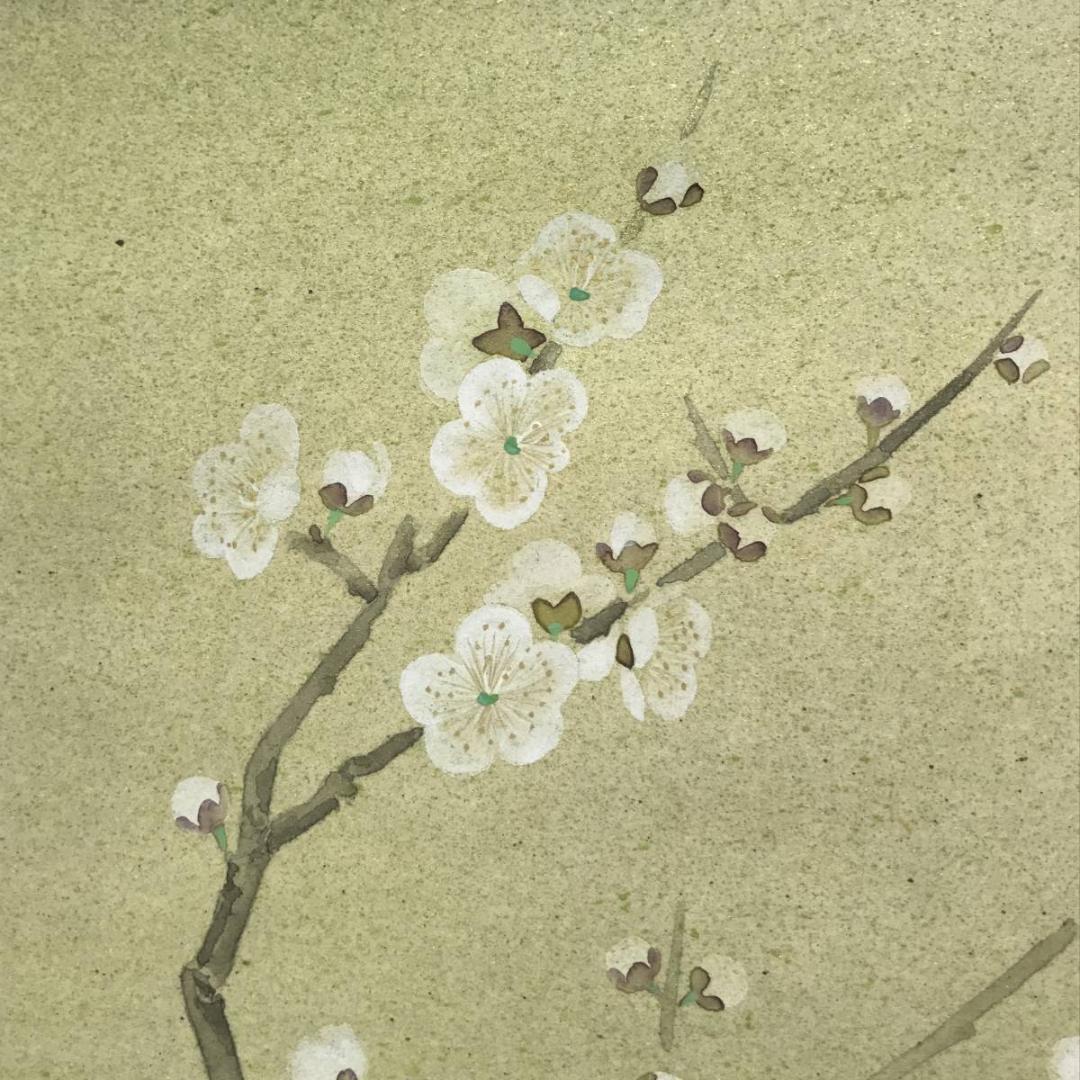 【真作】史朗/白梅図/梅花図/寿/掛軸/名家伝来/AC-202