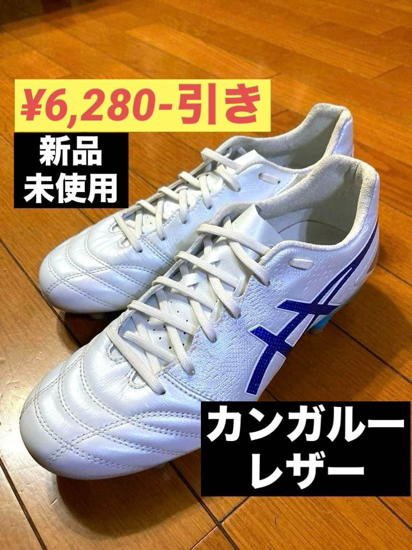 アシックス　DS LIGHT PRO 25.5cm スペインひきこもり日記