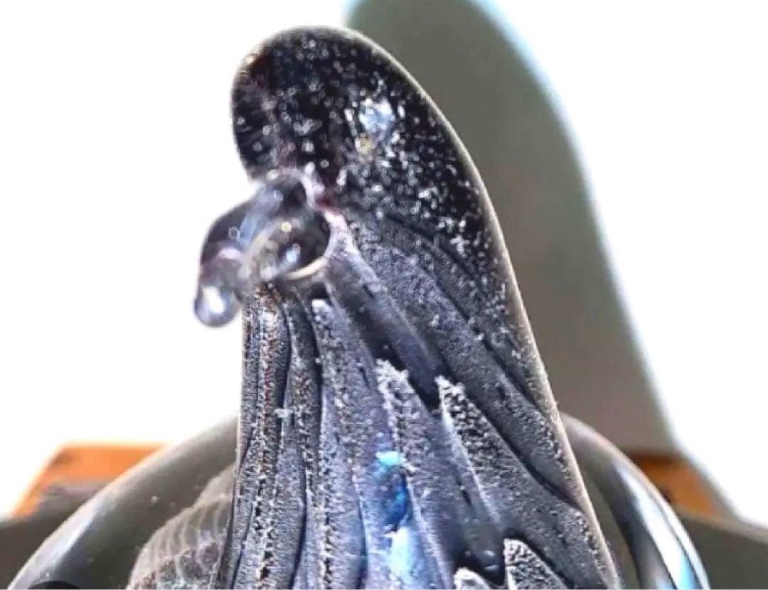 希少・王室御用達】Marcolin マルコリン ガラスオブジェ 鳥 - メルカリ