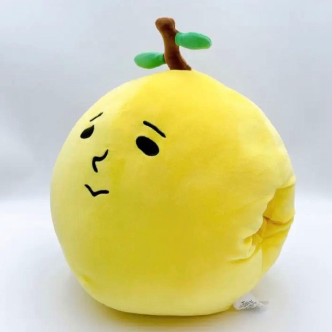 新品未開封 ゆず ハグミークッション ゆず太郎