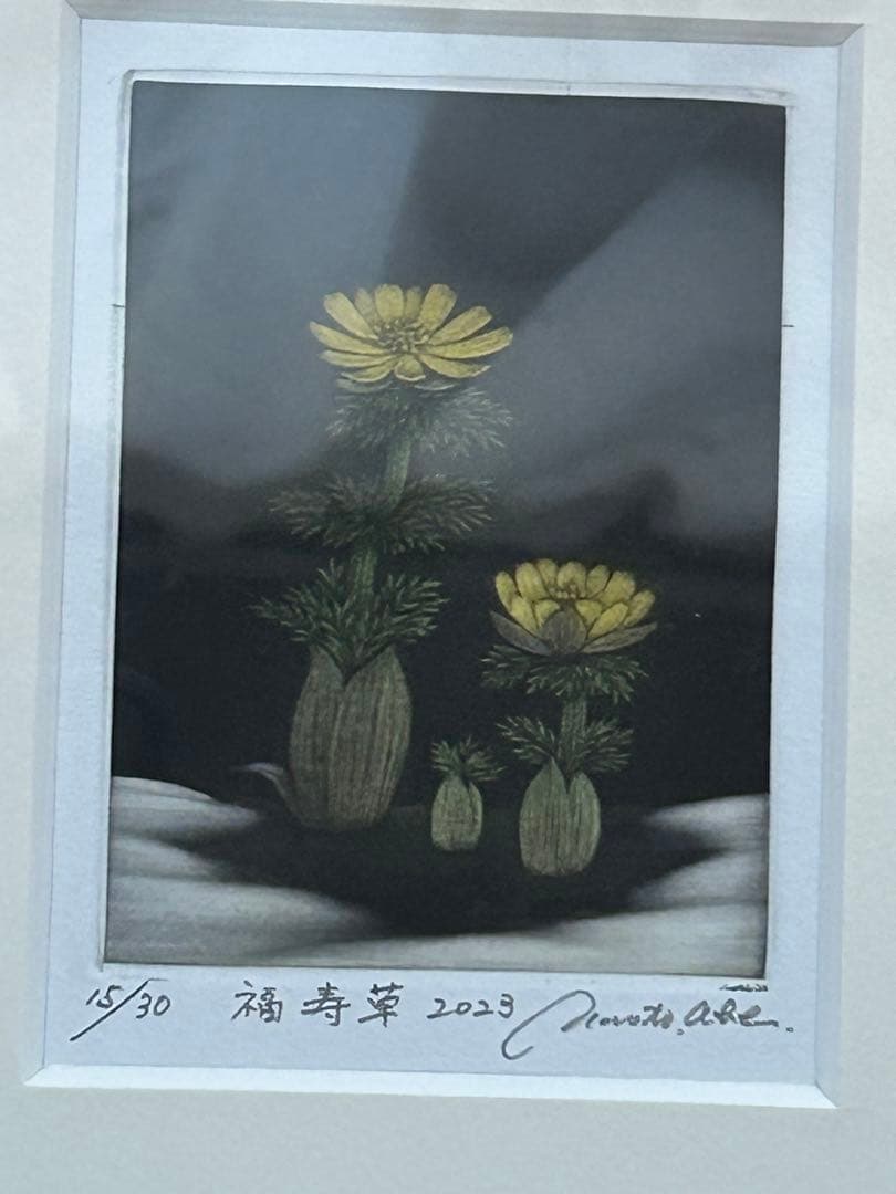 【値下げ】【絵画】安部直人作　福寿草