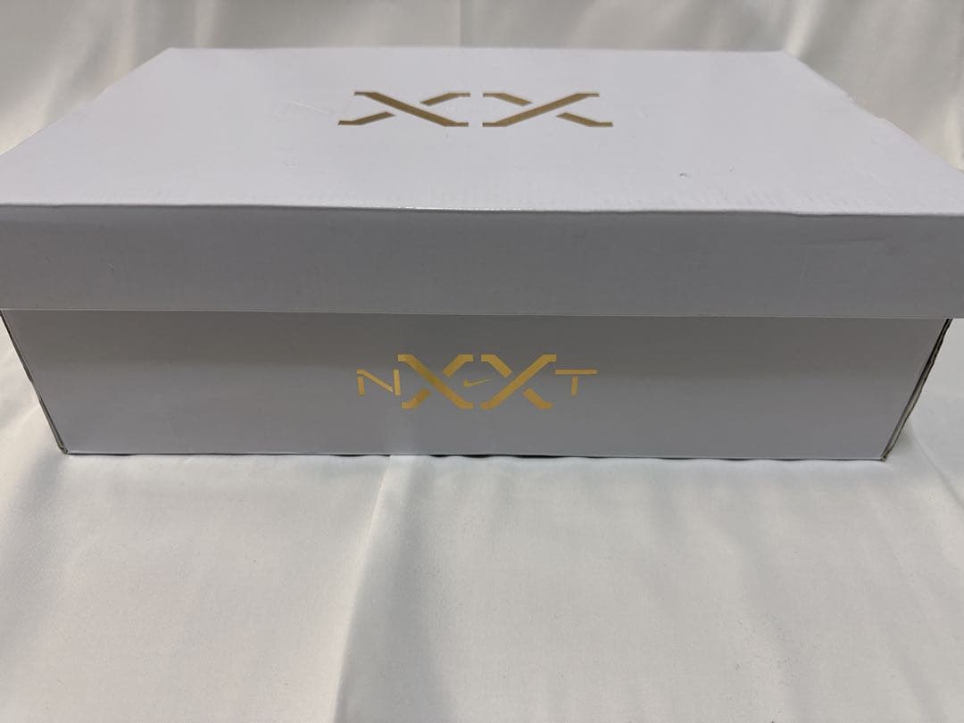 シューズ(男性用) NIKE LEBRON NXXT GEN AMPD EP 28.5cm