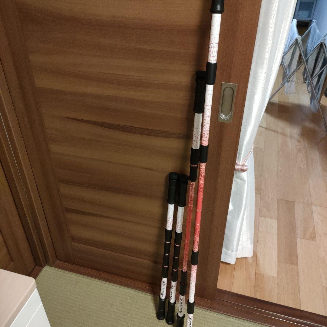 LPN正規品】アシスティック® 1本 - メルカリ