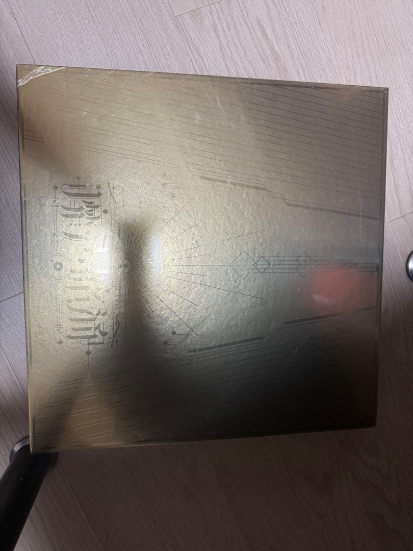 新品未開封 無期迷途「靡声暗涌」レコード