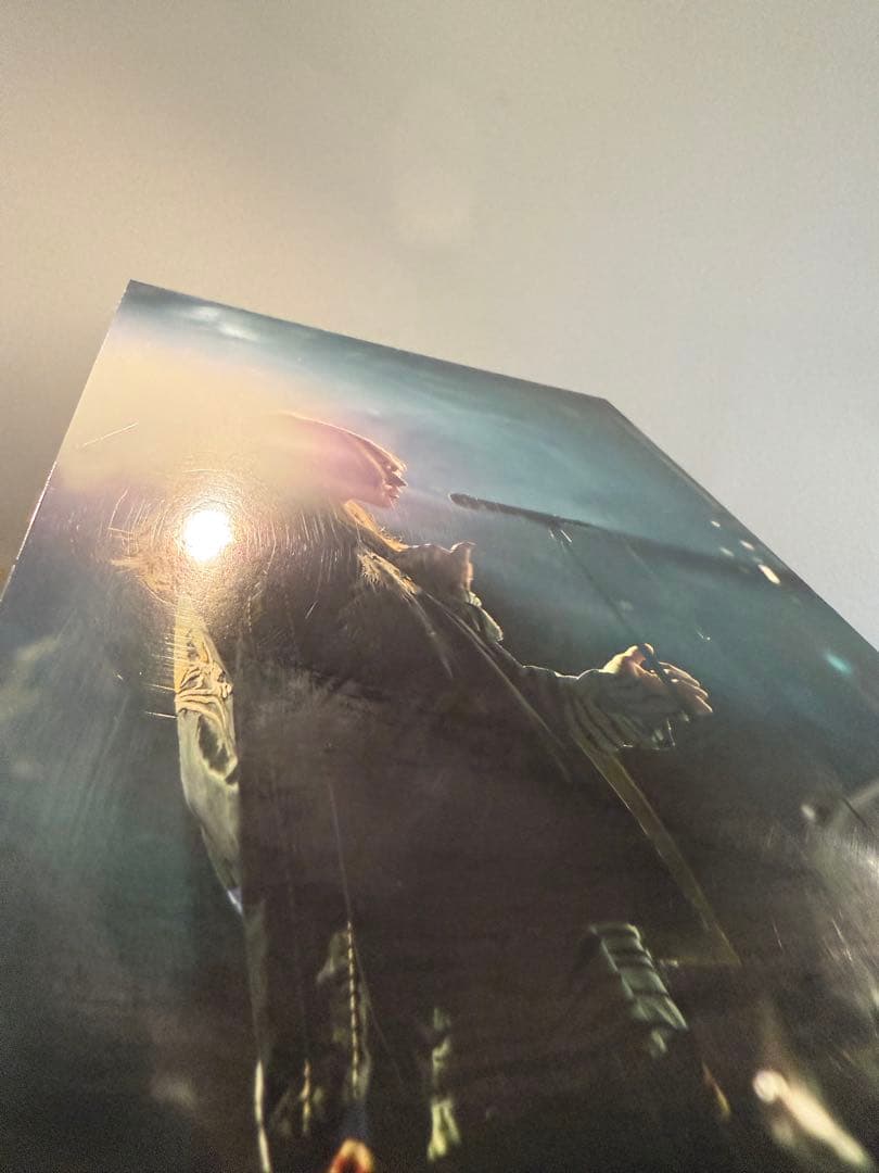 スーパービーバー　パネル