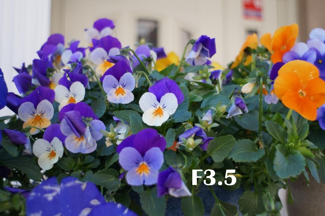 1979096　前期型ファットモデル　Super-Takumar　F3.5/28