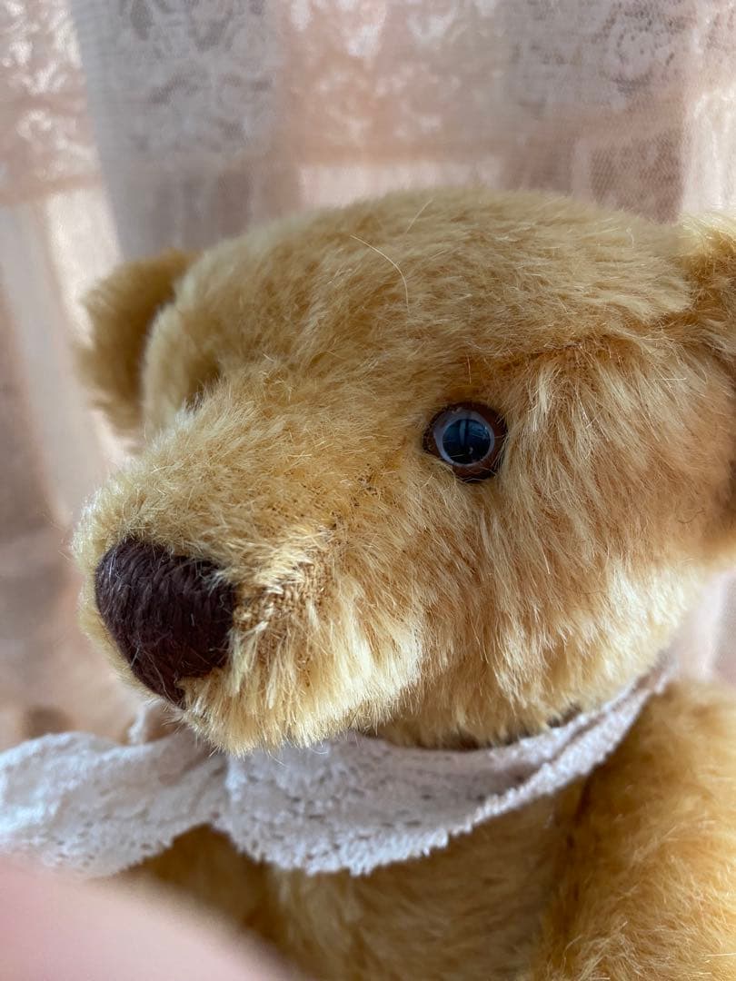 シュタイフテディベア　限定品　美品 ドイツ　【テディベアの王道】